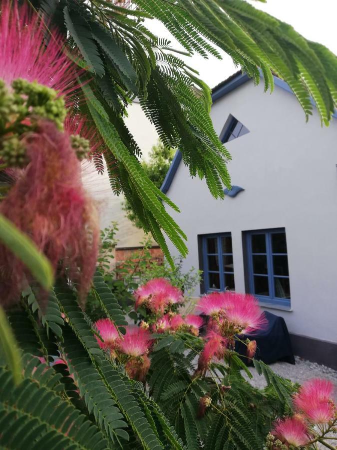 Das Nest Eisenstadt Exterior photo
